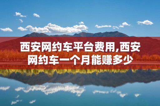 西安网约车平台费用,西安网约车一个月能赚多少