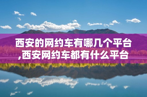 西安的网约车有哪几个平台,西安网约车都有什么平台